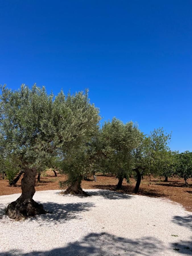 شقة Masseria Concorrano كاستيلانا غروتي المظهر الخارجي الصورة
