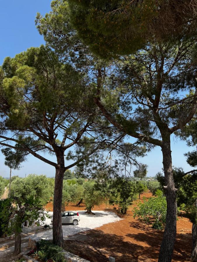 شقة Masseria Concorrano كاستيلانا غروتي المظهر الخارجي الصورة